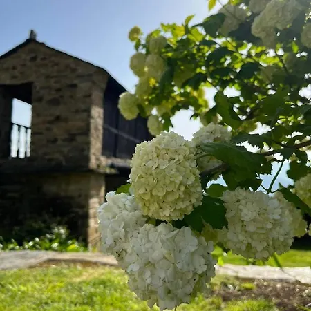 Complejo Rural Lar De Vies Country house