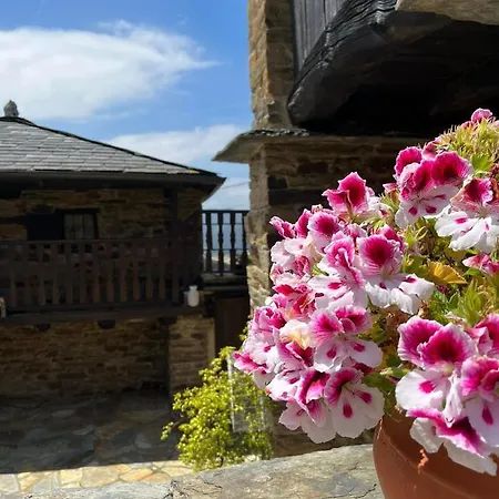 Complejo Rural Lar De Vies Country house *